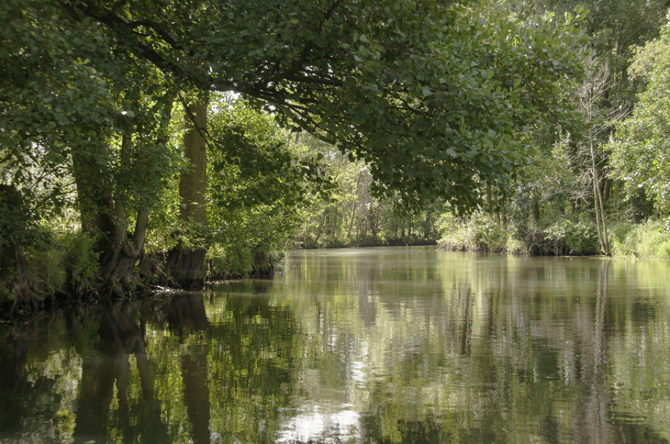 Kurzurlaub im Spreewald